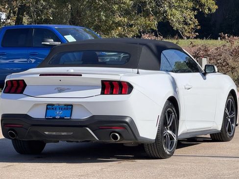 Used 2024 Ford Mustang Premium image 12