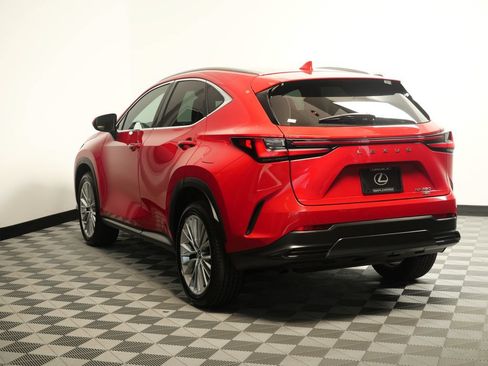Certified 2025 Lexus NX 350 AWD w/ Cold Area Package image 7
