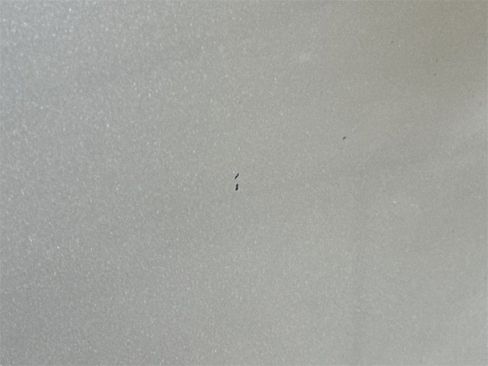 Used 2013 GMC Sierra 1500 W/T image 29