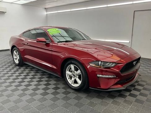 Used 2019 Ford Mustang Coupe RWD image 3