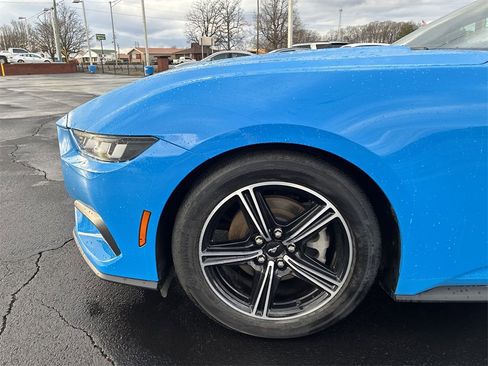 Used 2024 Ford Mustang Premium image 10