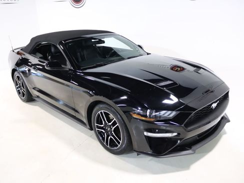 Used 2019 Ford Mustang Premium RWD image 62