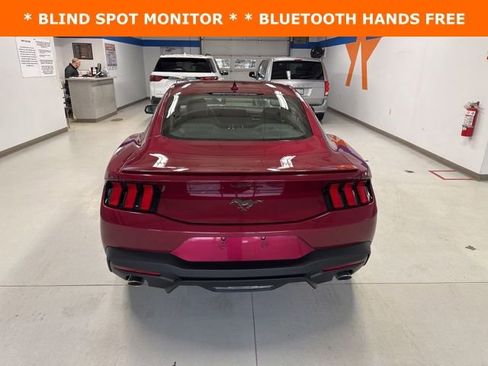 New 2025 Ford Mustang Premium image 5