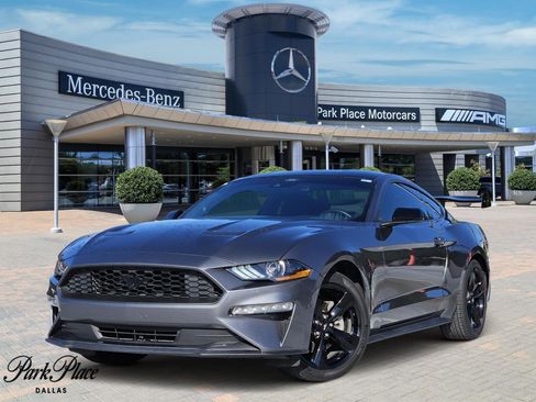 Used 2023 Ford Mustang Coupe w/ Equipment Group 101A image 1