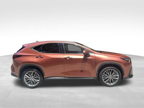 Used 2025 Lexus NX 350 AWD w/ Rear Seat Package image 7