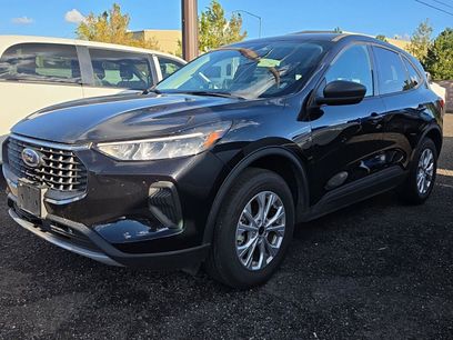 Used 2025 Ford Escape Active