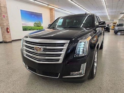 Used 2019 Cadillac Escalade ESV Platinum AWD/4WD image 1