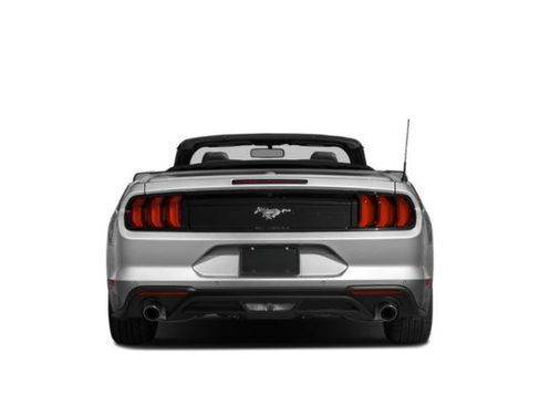 Used 2019 Ford Mustang Premium RWD image 5
