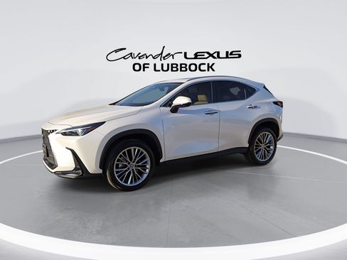 Certified 2025 Lexus NX 350 AWD w/ Premium Package image 5