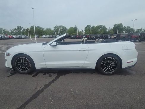 Used 2019 Ford Mustang Premium RWD image 20
