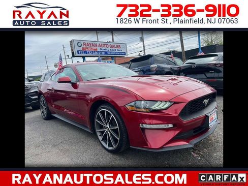 Used 2019 Ford Mustang Premium w/ Equipment Group 201A RWD image 1