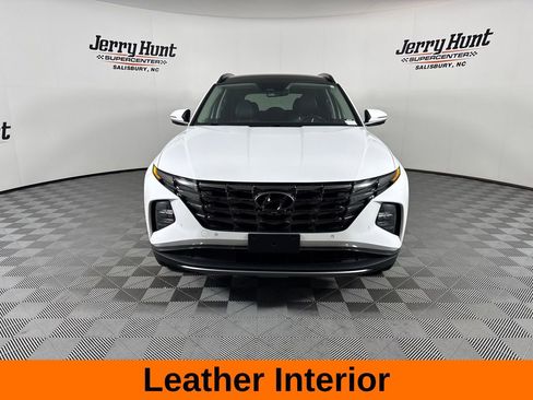 Used 2024 Hyundai Tucson Limited AWD/4WD image 5