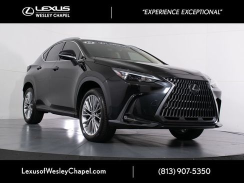 Used 2025 Lexus NX 350 AWD w/ Cold Area Package image 1