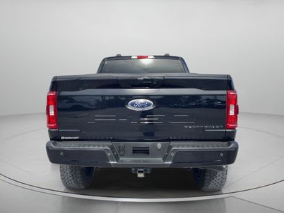 Used 2023 Ford F150 XLT w/ Equipment Group 302A High