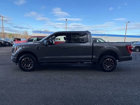 Used 2023 Ford F150 XLT w/ Equipment Group 302A High image 2