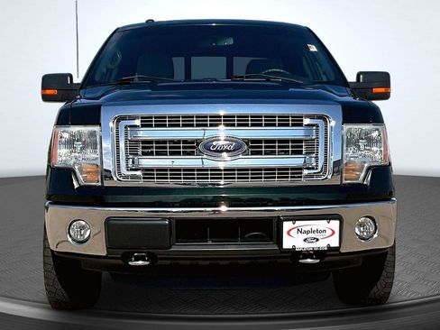 Used 2014 Ford F150 XLT w/ Equipment Group 302A Luxury AWD/4WD image 3