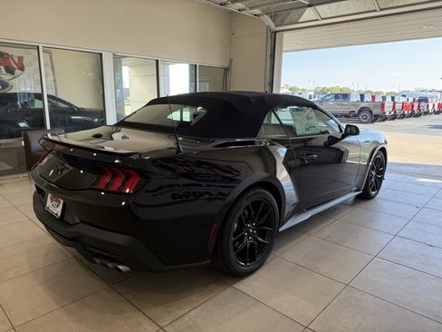 New 2025 Ford Mustang Premium w/ Mustang Nite Pony Package image 4