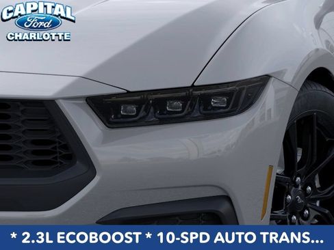 New 2026 Ford Mustang Coupe w/ Mustang Nite Pony Package RWD image 19