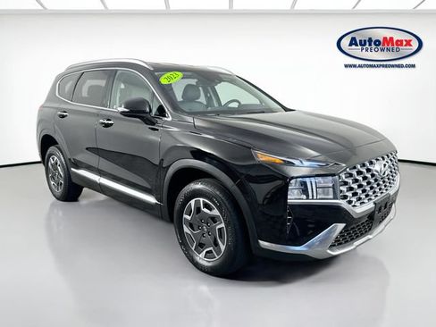 Used 2023 Hyundai Santa Fe Blue AWD/4WD image 1
