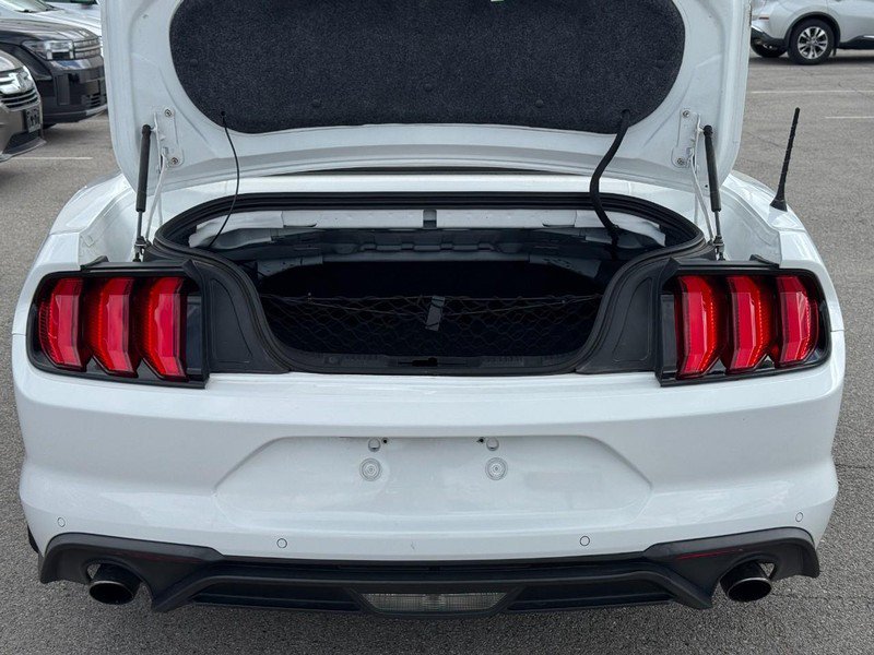 Used 2019 Ford Mustang Premium RWD image 5