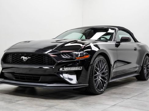 Used 2019 Ford Mustang Premium w/ Equipment Group 201A RWD image 2