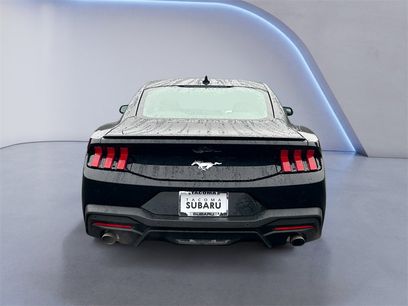 Used 2025 Ford Mustang Premium