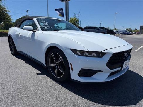 Certified 2024 Ford Mustang Premium RWD image 2