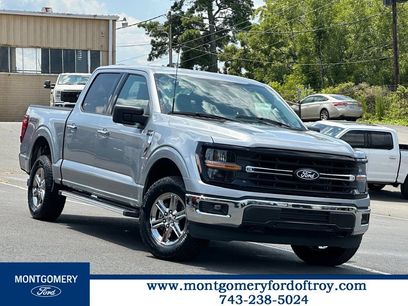 Used 2025 Ford F150 XLT w/ Equipment Group 301A Standard