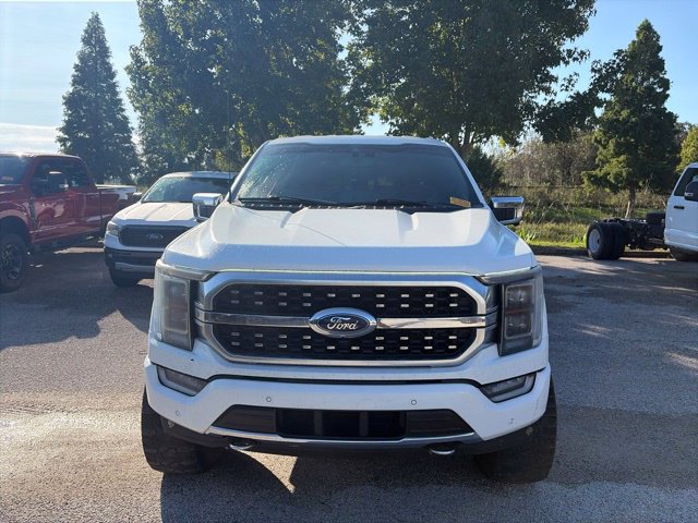Used 2022 Ford F150 Platinum w/ Equipment Group 701A High AWD/4WD image 2