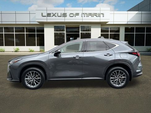 Used 2025 Lexus NX 350h AWD w/ Cold Area Package image 2