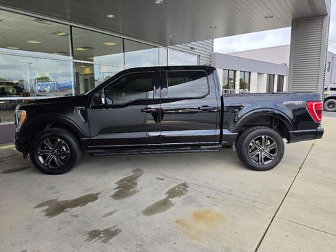 Used 2021 Ford F150 XLT w/ Equipment Group 302A High AWD/4WD image 2