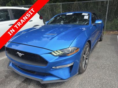 Used 2019 Ford Mustang Premium w/ Equipment Group 201A