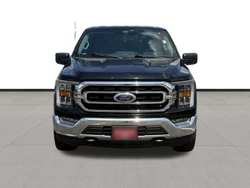 Used 2021 Ford F150 XLT w/ Equipment Group 302A High AWD/4WD image 2