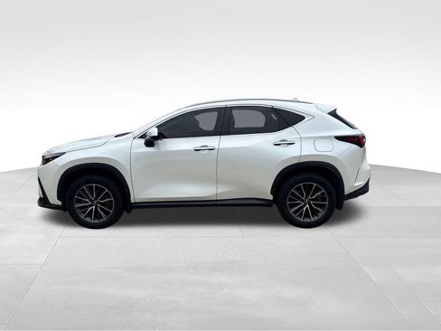 Used 2024 Lexus NX 350 AWD w/ Cold Area Package image 2