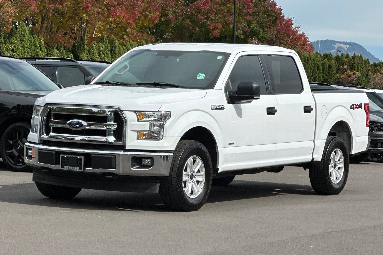 Used 2017 Ford F150 XLT w/ Equipment Group 301A Mid AWD/4WD image 8