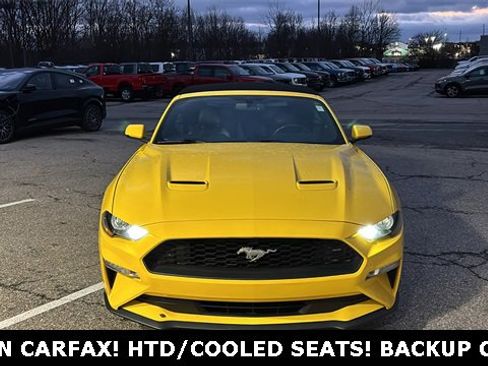Used 2018 Ford Mustang Premium w/ Equipment Group 201A image 5