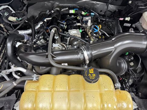 Used 2019 Ford F150 XLT w/ Equipment Group 302A Luxury image 9