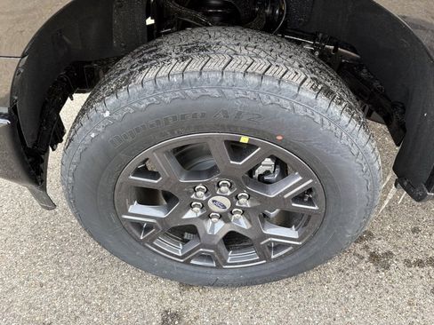 New 2026 Ford F150 STX w/ Equipment Group 200A image 10