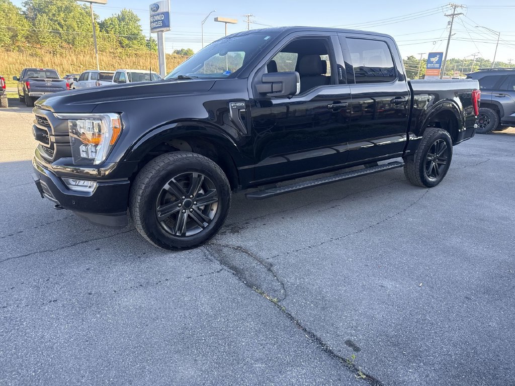 Used 2022 Ford F150 XLT w/ Equipment Group 302A High AWD/4WD image 3