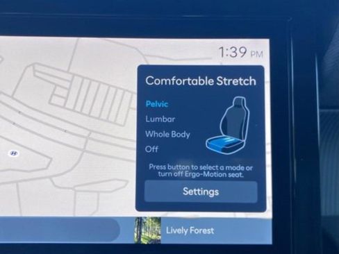 New 2026 Hyundai Palisade Calligraphy FWD image 21