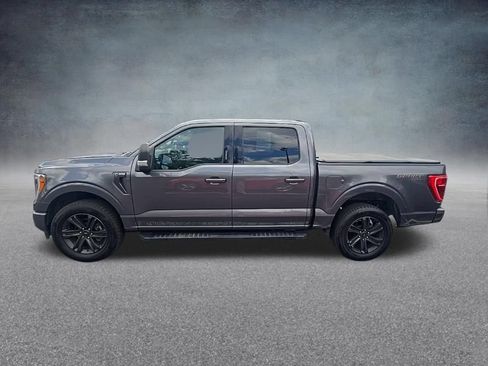 Used 2023 Ford F150 XLT w/ Equipment Group 302A High AWD/4WD image 5