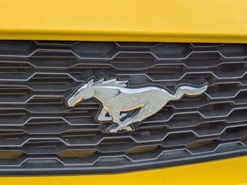 Used 2016 Ford Mustang V6 w/ Equipment Group 051A image 12