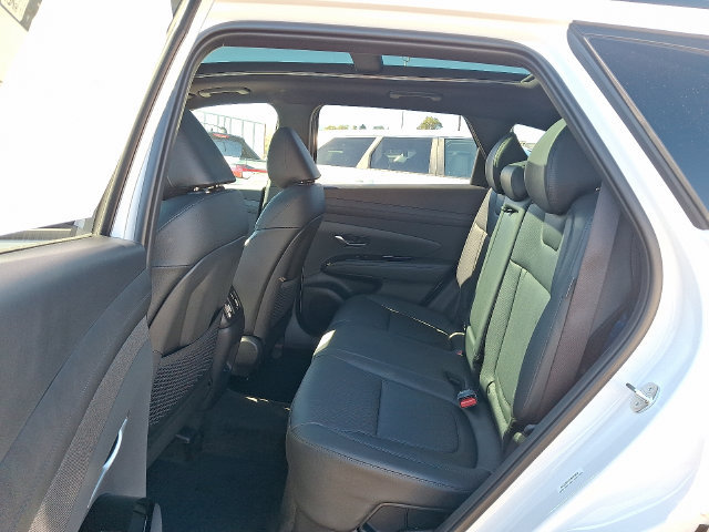 New 2026 Hyundai Tucson Limited AWD/4WD image 5