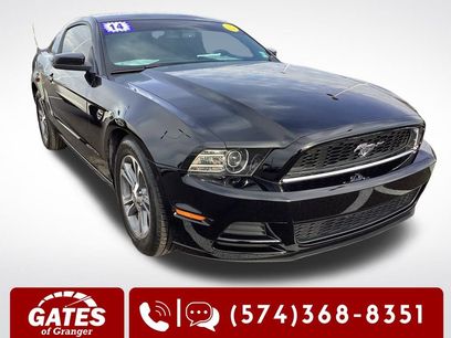 Used 2014 Ford Mustang Premium w/ Equipment Group 201A