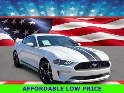 Used 2019 Ford Mustang Coupe w/ Equipment Group 101A
