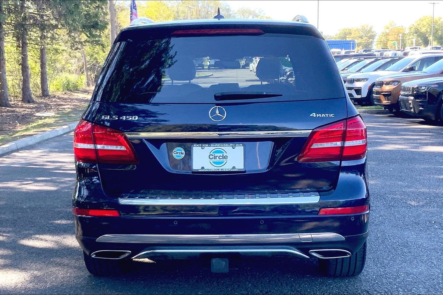 Used 2019 Mercedes-Benz GLS 450 4MATIC image 4