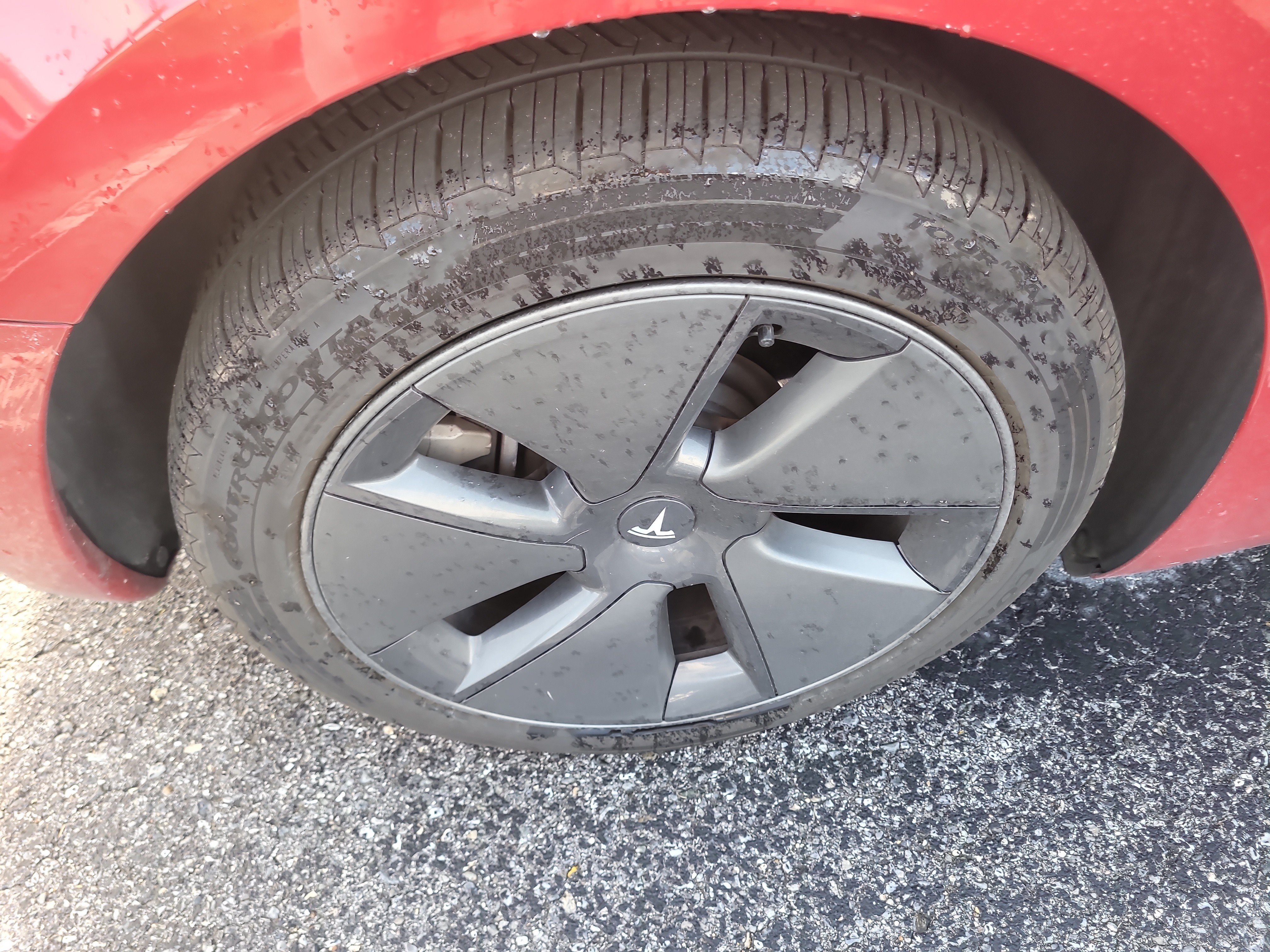 Used 2023 Tesla Model 3 Standard Range RWD image 9