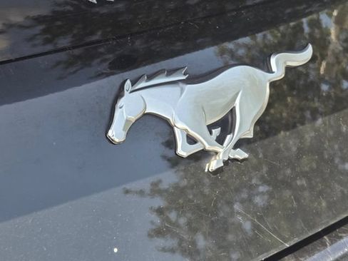 Used 2024 Ford Mustang Premium RWD image 13