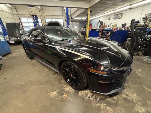 Used 2019 Ford Mustang Premium w/ Equipment Group 201A image 1