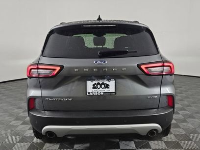 Used 2024 Ford Escape Platinum
